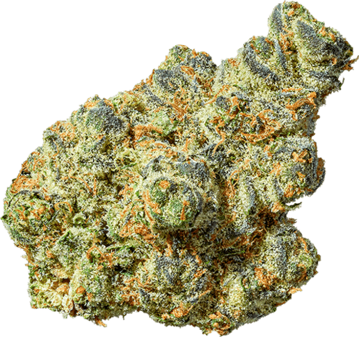 Apple Fritter
